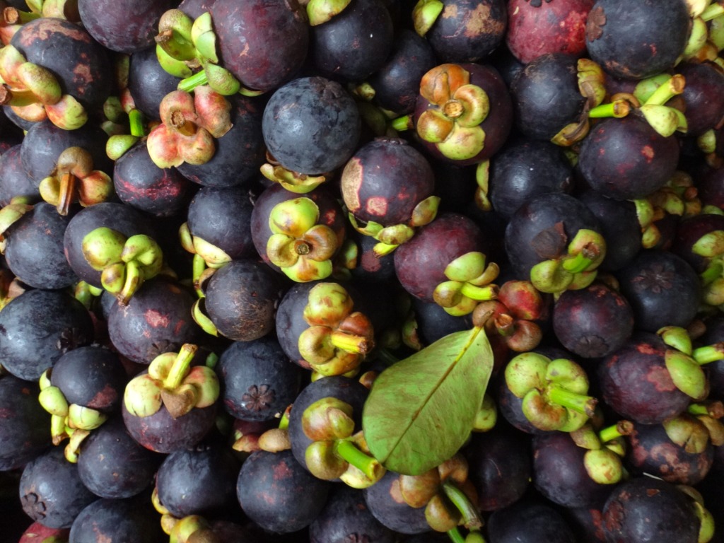 Fresh Indonesian Mangosteen Grade 4A (Medium Commercial 75-95g)